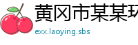 黄冈市某某环保机械设备维修网点